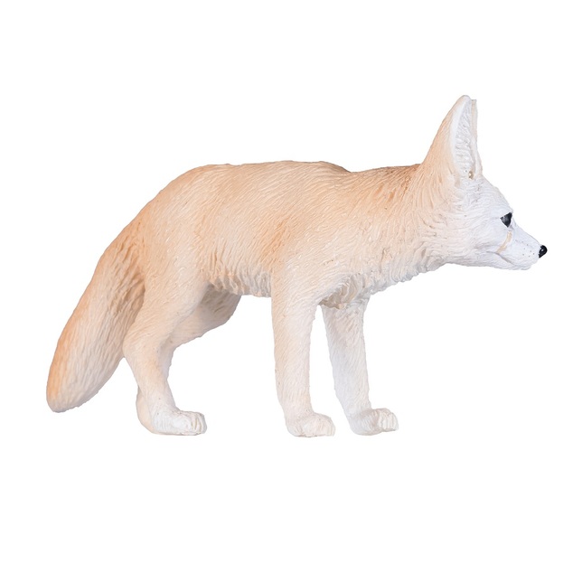Il mio Fennec di Volpe