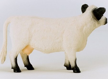 Schleich Gallowayská krava