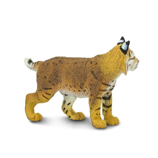 Safari® Rys