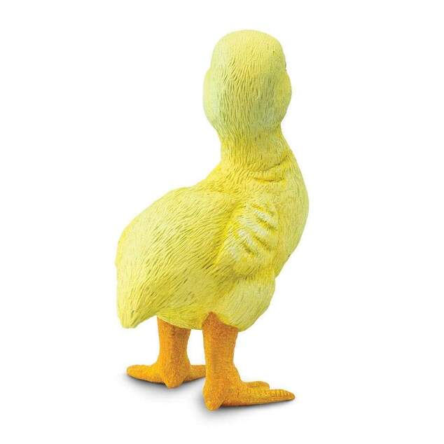 Safari® Kačiatko