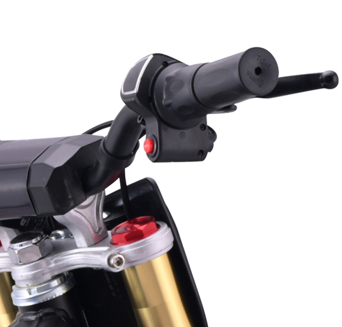 Motocross elettrico per bambini e adolescenti Beneo Motors Falcon verde - 1600W