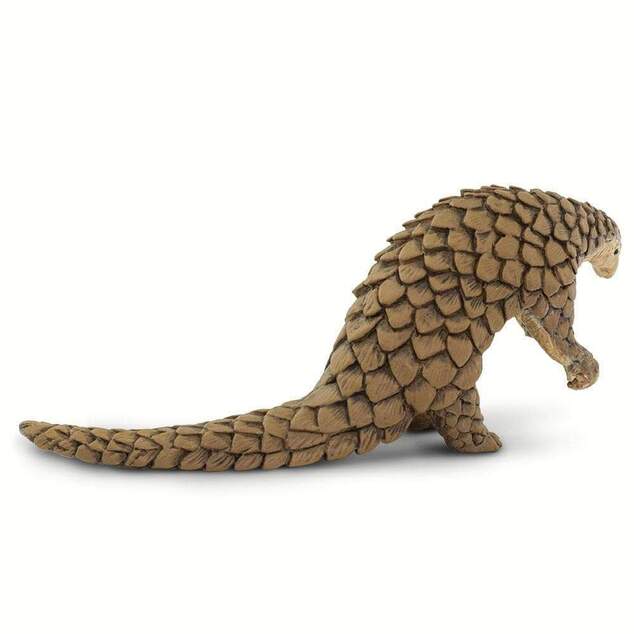 Safari® Pangolín