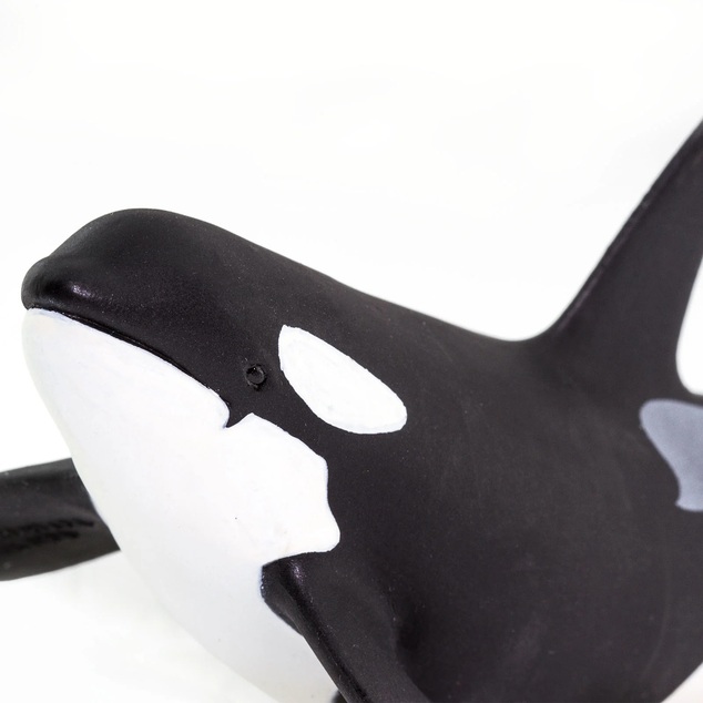 Safari® Orca
