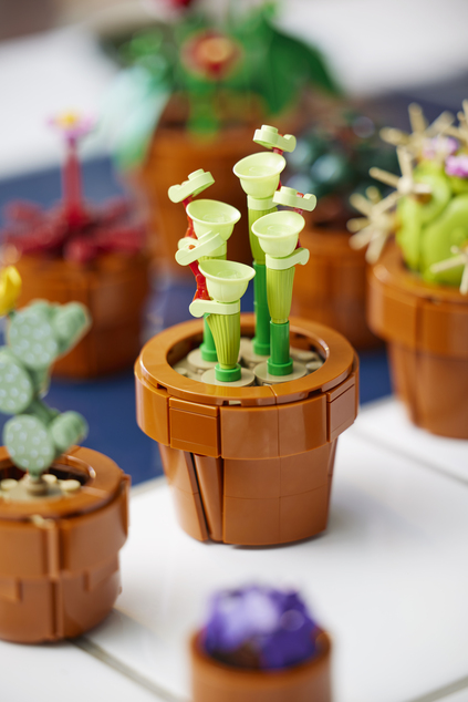 LEGO® Botanicals 10329 Miniatúrne rastliny