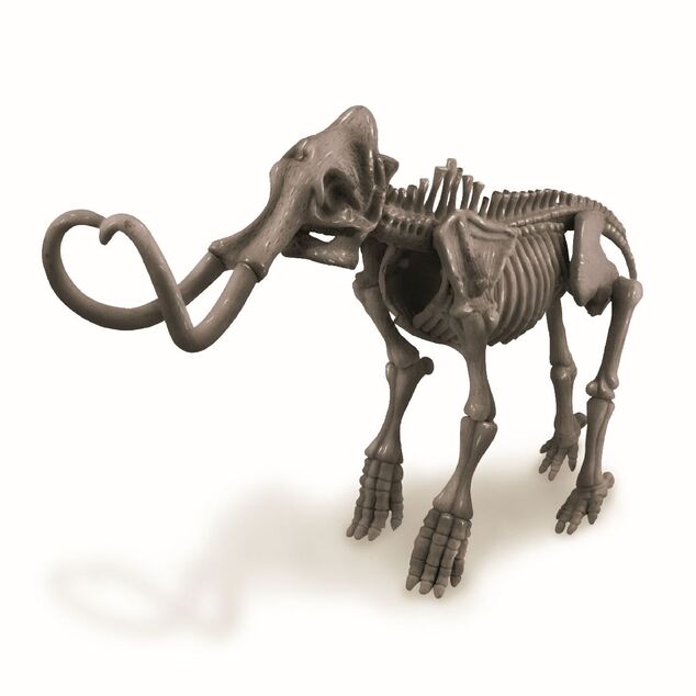 Skelet - Mamut