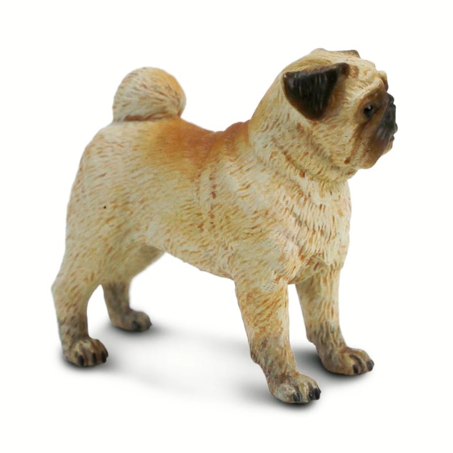 Safari® Câine Mops