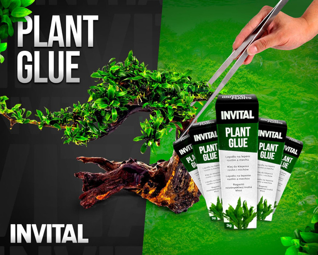 INVITAL Plant Glue - lepidlo na rastliny a machy