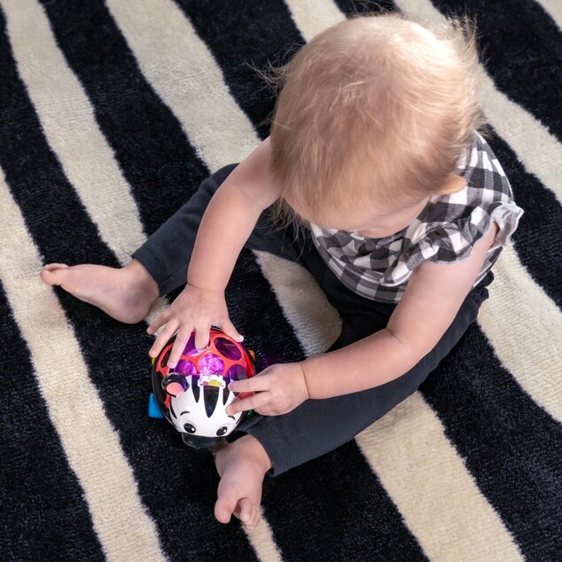 OBALL Autíčko a hrkálka 2v1 Curious Car zebra Zen™ 3m+