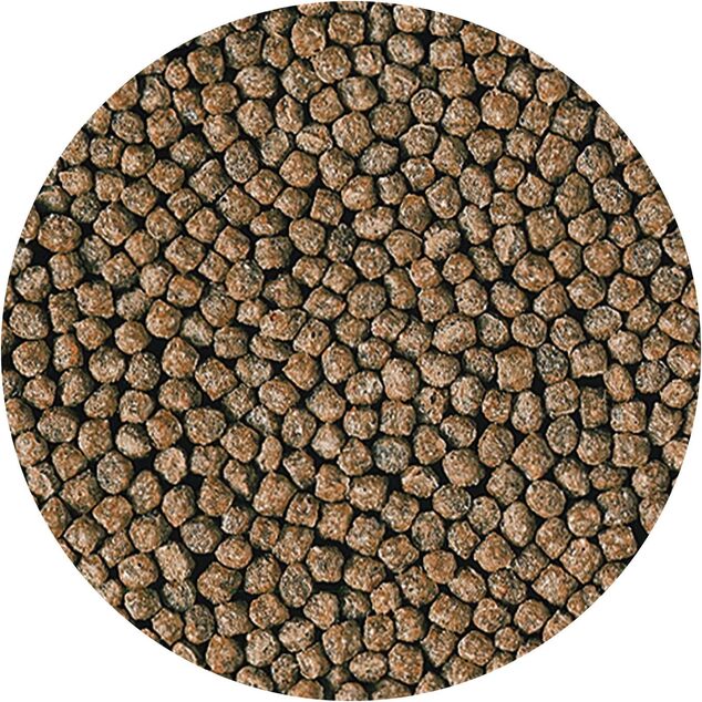 HIKARI Krmivo Goldfish Staple Baby 100 g