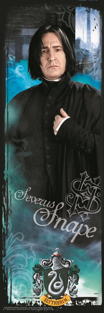 Trefl Puzzle Harry Potter 10v1