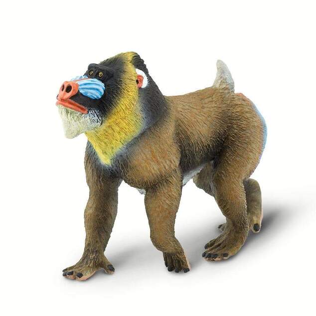 Safari® Mandril