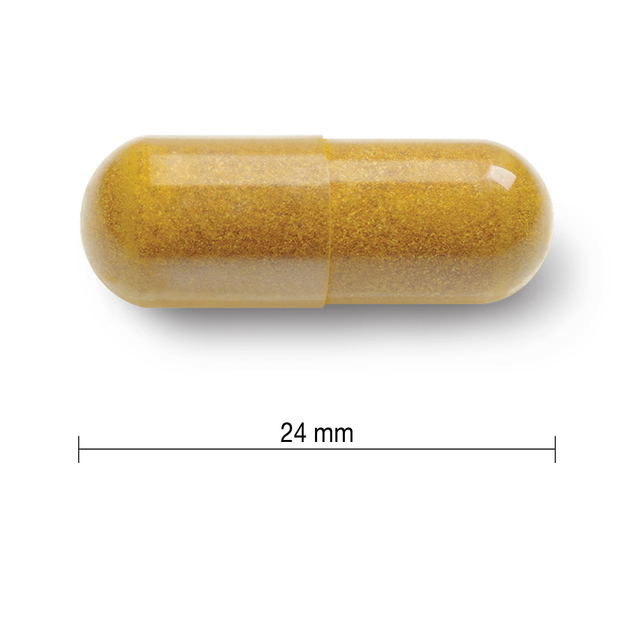 Jamieson Curcumin 550 mg 60 Kapseln