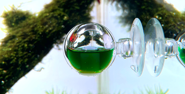CO2 drop checker ball PRO