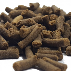 QualDrop Grüne Muschel - Futter für Garnelen 10g