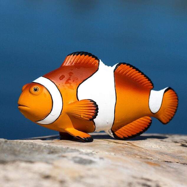Safari® Klaun očkatý
