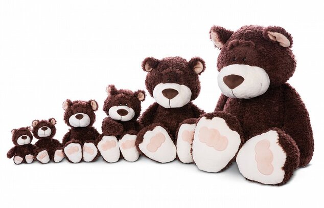 NICI Plüsch Braunbär, 35 cm (Öko-Grün)
