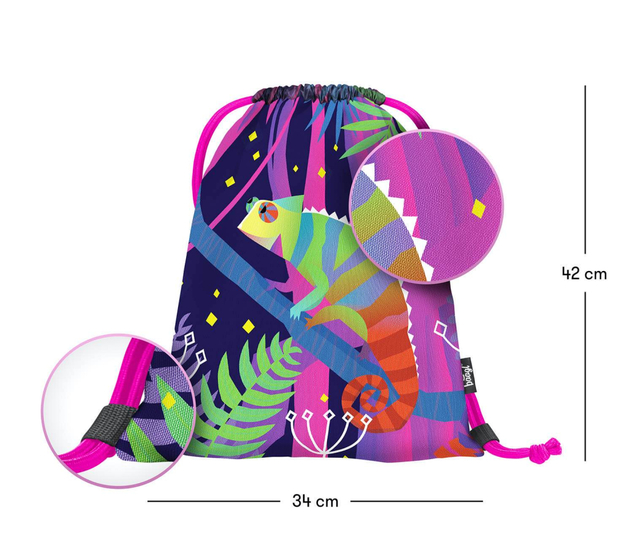 Geanta Chameleon BAAGL