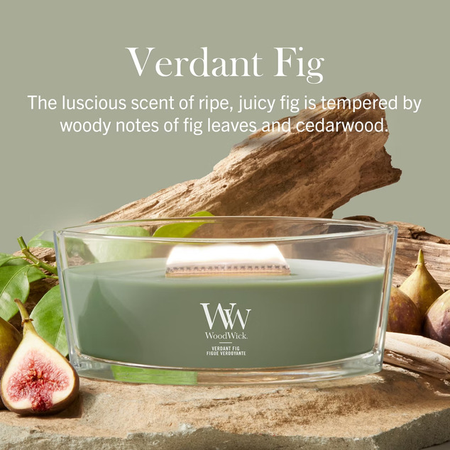 WW Kerze Boot Verdant Feige