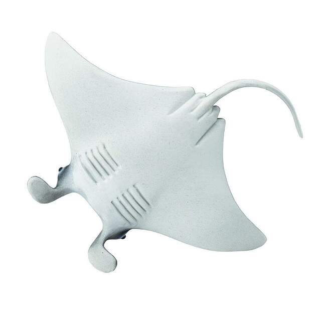 Safari® Manta raja