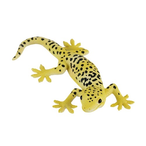 Moj Gekon Leopard.