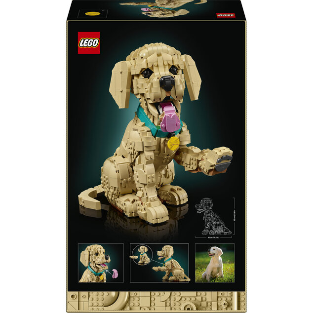 LEGO® Icons 11384 Šteňa zlatého retrievera