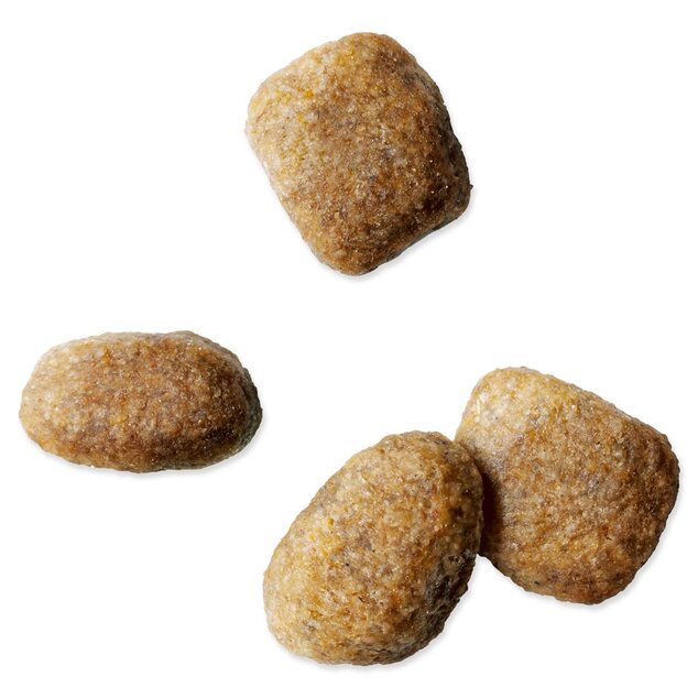 Krmivo IAMS Dog Adult Small &amp; Medium Chicken 2kg + 500g ZDARMA