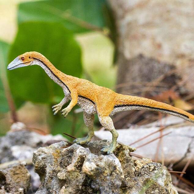 Safari® Coelophysis dinosaurus