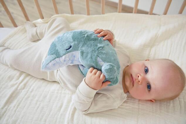 Kaloo Petit Calme Plüss delfin levendulapárnával a jobb alvásért 15 cm