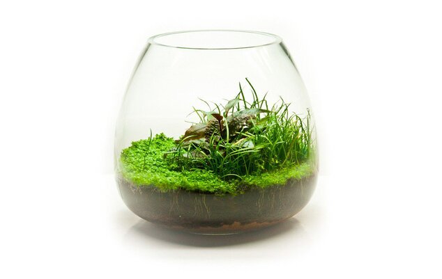 Modeling Soil 1l pro Wabi-kusa