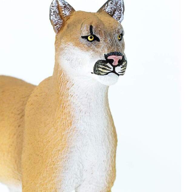Safari® Puma floridská