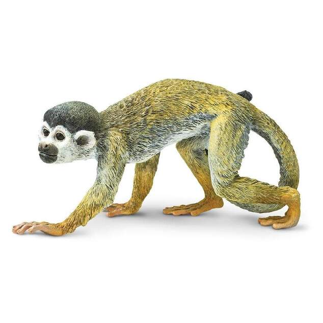 Safari® Kotúľ veveričí opica