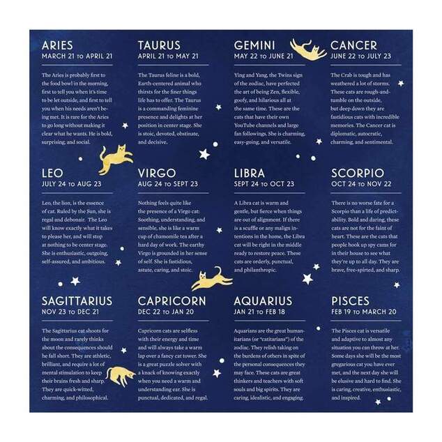 Puzzle Galison Zodiacul Pisicilor 500 de piese