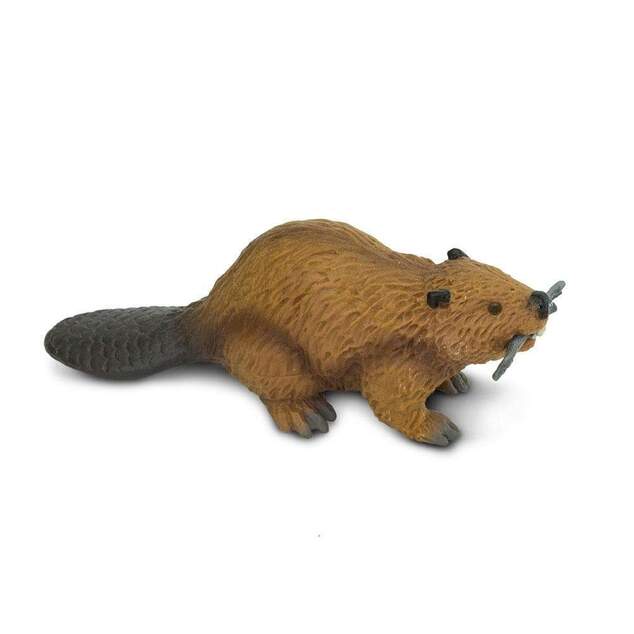 Safari® Bobor
