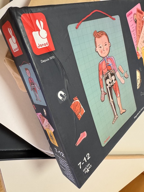 Janod Magnetischer menschlicher Körper Bodymagnet Puzzle mit Tafel zum Aufhängen