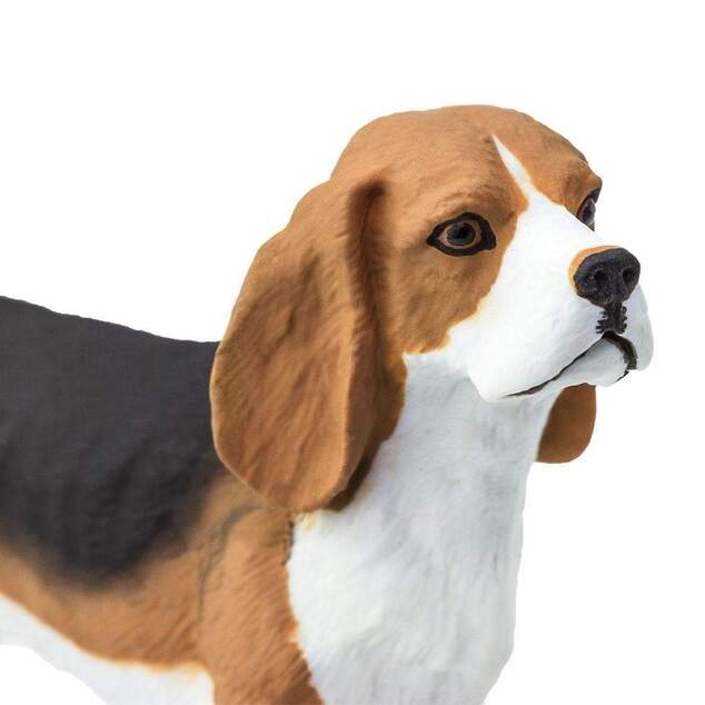 Safari® Pes Beagle
