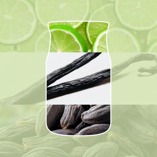 YC Signature Kerze Klein Vanilla Lime