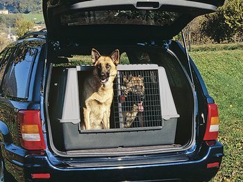 Cușcă Ferplast Atlas Car Maxi gri 100x80x71cm