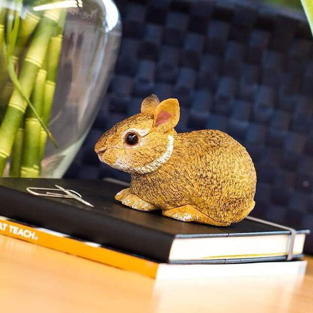 Safari® Mláďa králika floridského