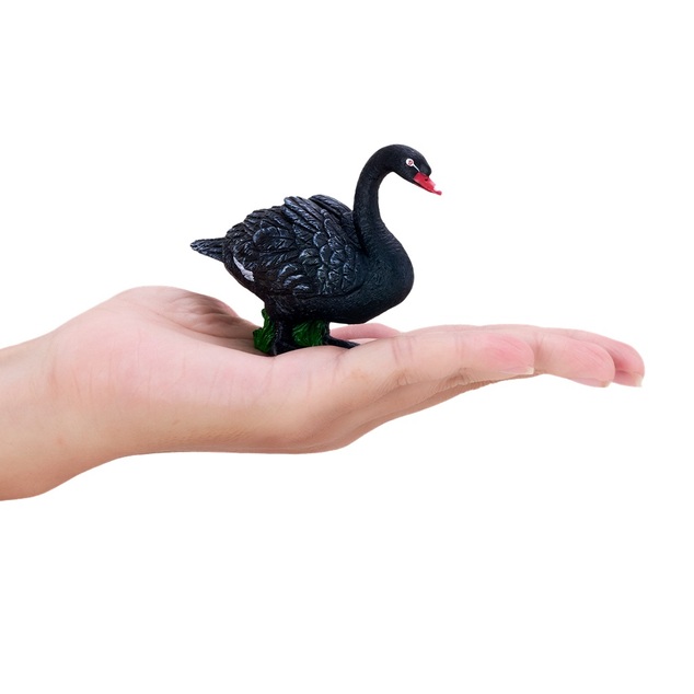 Mojo Cygne noir