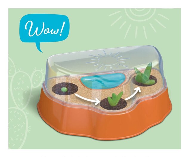 Cactus nel deserto - mini serra per bambini