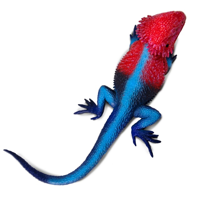 Safari® Agama mwanza