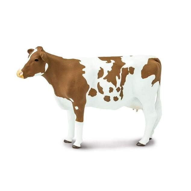 Safari® Krava Ayrshire