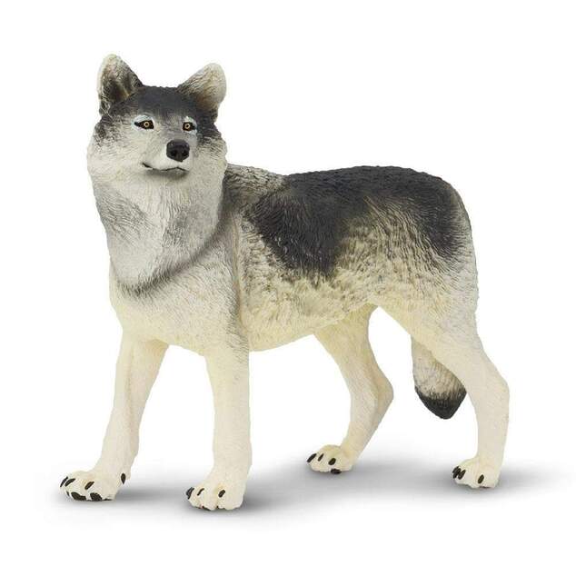 Safari® Vlk