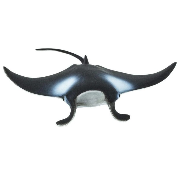 Safari® Manta raja