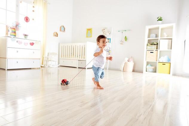 Hape Juguete de arrastre mariquita