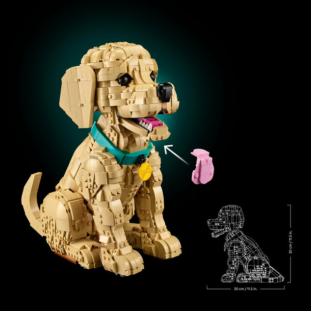 LEGO® Icons 11384 Šteňa zlatého retrievera