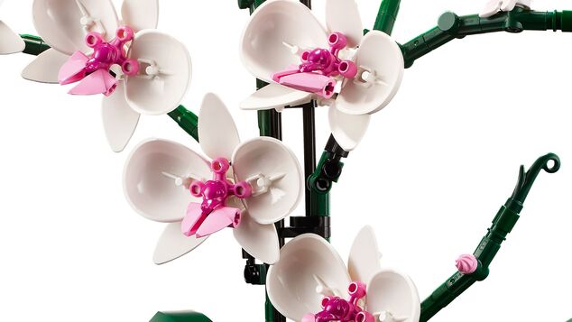 LEGO® Botanicals 10311 Orhidee