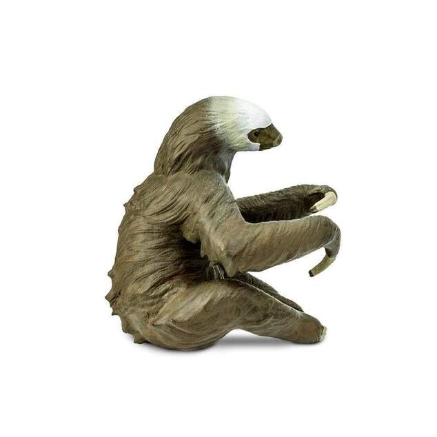 Safari® Leňochod dvojprstý