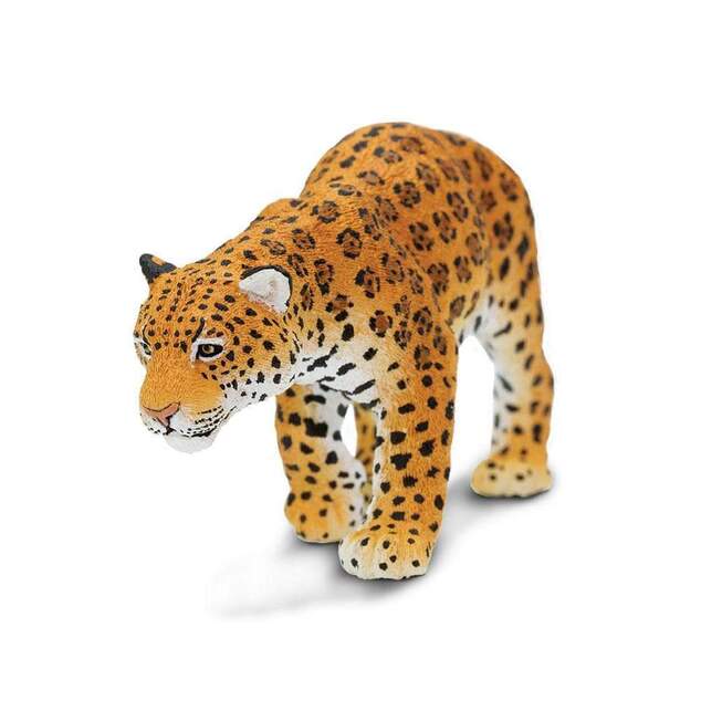 Safari® Jaguár