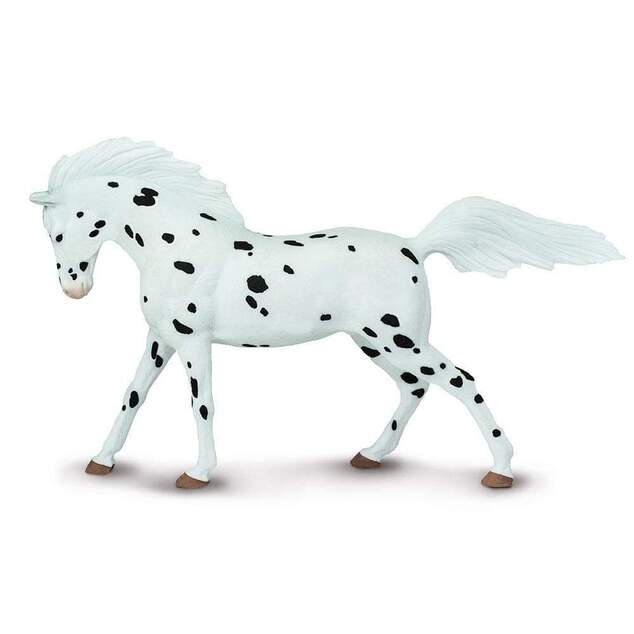 Safari® Knabstrupper kôň